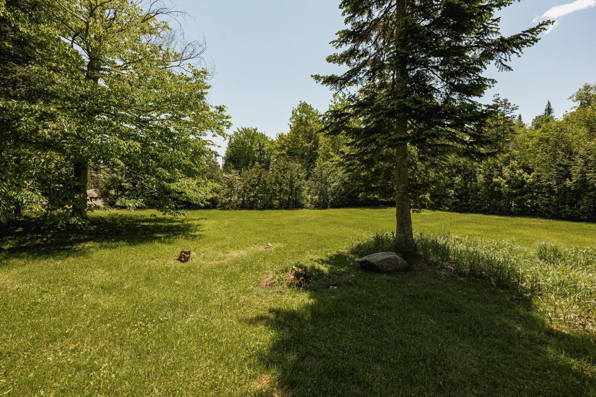 Fiddler Lake Resort Chalet 4 Cerf Mille-Isles 外观 照片